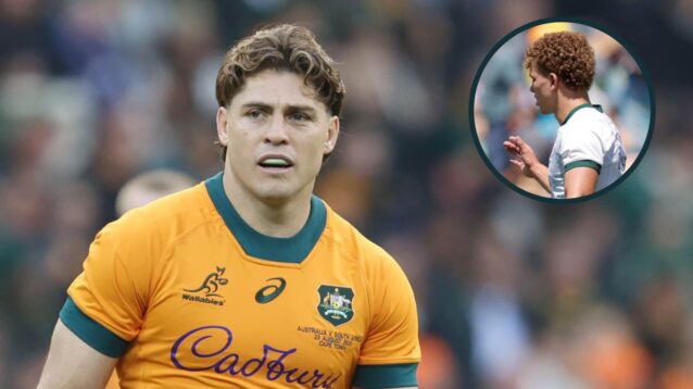 Wallabies fly-half James O'Connor and an inset of Sharks rookie Luan Giliomee.